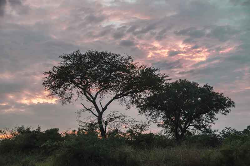 02 - Uganda - parque nacional de las cataratas Murchison - Bwana Tembo Lodge - amanecer